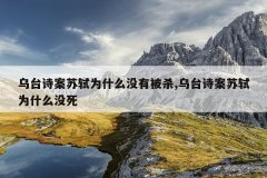 乌台诗案苏轼为什么没有被杀,乌台诗案苏轼为什