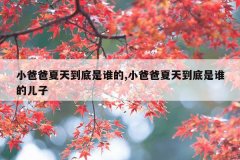 小爸爸夏天到底是谁的,小爸爸夏天到底是谁的儿