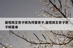 屋塔房王世子嫔为何害世子,屋塔房王世子世子嫔