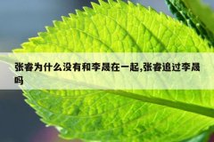 张睿为什么没有和李晟在一起,张睿追过李晟吗