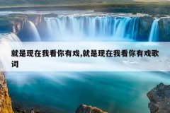 就是现在我看你有戏,就是现在我看你有戏歌词