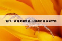 能打开蜜芽的浏览器,下载浏览器蜜芽软件