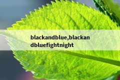 blackandblue,blackandbluefightnight