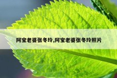 阿宝老婆张冬玲,阿宝老婆张冬玲照片