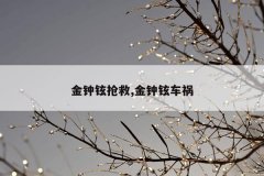 金钟铉抢救,金钟铉车祸