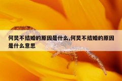 何炅不结婚的原因是什么,何炅不结婚的原因是什么意思