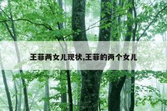王菲两女儿现状,王菲的两个女儿