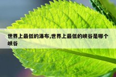 世界上最低的瀑布,世界上最低的峡谷是哪个峡谷