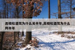 高晓松酒驾为什么关半年,高晓松酒驾为什么判半