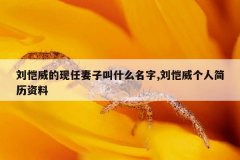 刘恺威的现任妻子叫什么名字,刘恺威个人简历资