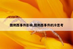 魏则西事件影响,魏则西事件的冷思考