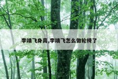 李靖飞身高,李靖飞怎么做轮椅了