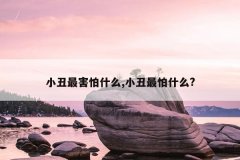 小丑最害怕什么,小丑最怕什么?