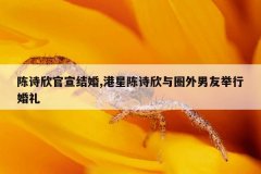 陈诗欣官宣结婚,港星陈诗欣与圈外男友举行婚礼