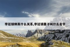 李廷镇柳真什么关系,李廷镇妻子叫什么名字