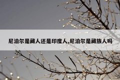 尼泊尔是藏人还是印度人,尼泊尔是藏族人吗