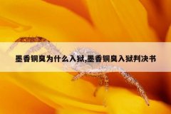 墨香铜臭为什么入狱,墨香铜臭入狱判决书