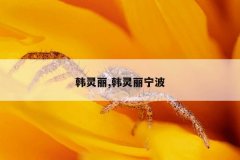 韩灵丽,韩灵丽宁波