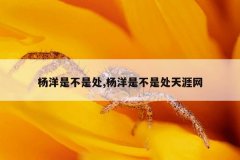 杨洋是不是处,杨洋是不是处天涯网