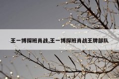 王一博探班肖战,王一博探班肖战王牌部队