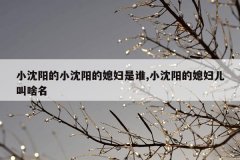 小沈阳的小沈阳的媳妇是谁,小沈阳的媳妇儿叫啥