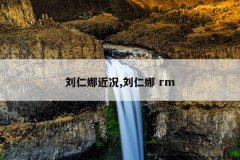 刘仁娜近况,刘仁娜 rm