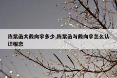 陈紫函大戴向宇多少,陈紫函与戴向宇怎么认识相