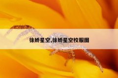 徐娇星空,徐娇星空校服图