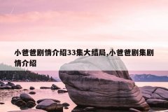 小爸爸剧情介绍33集大结局,小爸爸剧集剧情介绍