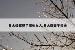 皇太极都娶了哪些女人,皇太极妻子是谁