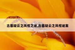 古墓疑云之凤棺之谜,古墓疑云之凤棺谜案