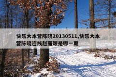 快乐大本营陈晓20130511,快乐大本营陈晓连线赵丽