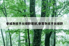 非诚勿扰于川绿野现状,非常勿扰于川绿野