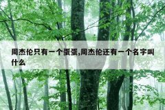 周杰伦只有一个蛋蛋,周杰伦还有一个名字叫什么