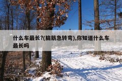 什么车最长?(脑筋急转弯),你知道什么车最长吗