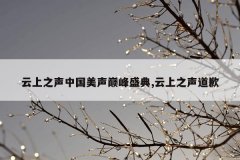 云上之声中国美声巅峰盛典,云上之声道歉