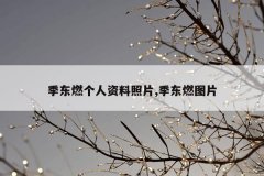 季东燃个人资料照片,季东燃图片