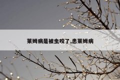 莱姆病是被虫咬了,患莱姆病