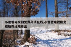 小爸爸电视剧免费高清在线,小爸爸电视剧免费版在线观看云