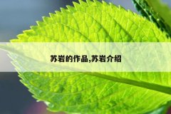 苏岩的作品,苏岩介绍