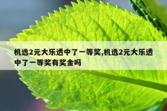 机选2元大乐透中了一等奖,机选2元大乐透中了一
