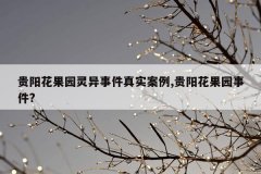 贵阳花果园灵异事件真实案例,贵阳花果园事件
