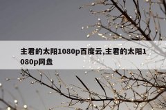 主君的太阳1080p百度云,主君的太阳1080p网盘