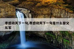 孝感动天下一句,孝感动天下一句是什么替父从军