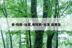 安-玛莉·杜芙,安玛莉·杜芙 前男友