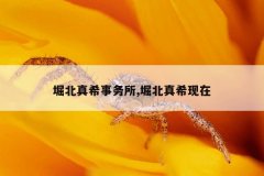 堀北真希事务所,堀北真希现在