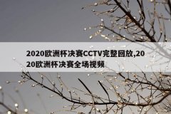 2020欧洲杯决赛CCTV完整回放,2020欧洲杯决赛全场视