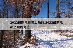 2022最新电影已上映的,2022最新电影上映的奇迹