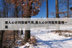 美人心计刘恒被气死,美人心计刘恒死是哪一集