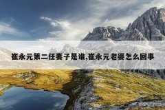 崔永元第二任妻子是谁,崔永元老婆怎么回事